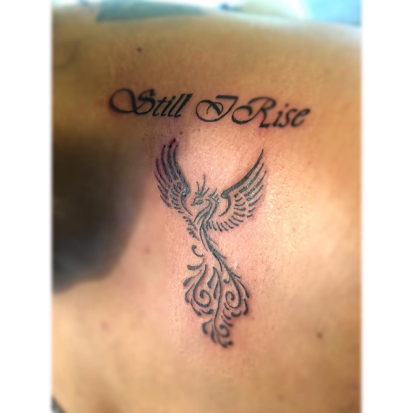 A tattoo of a phoenix and the words "Still I Rise" on someone's upper back