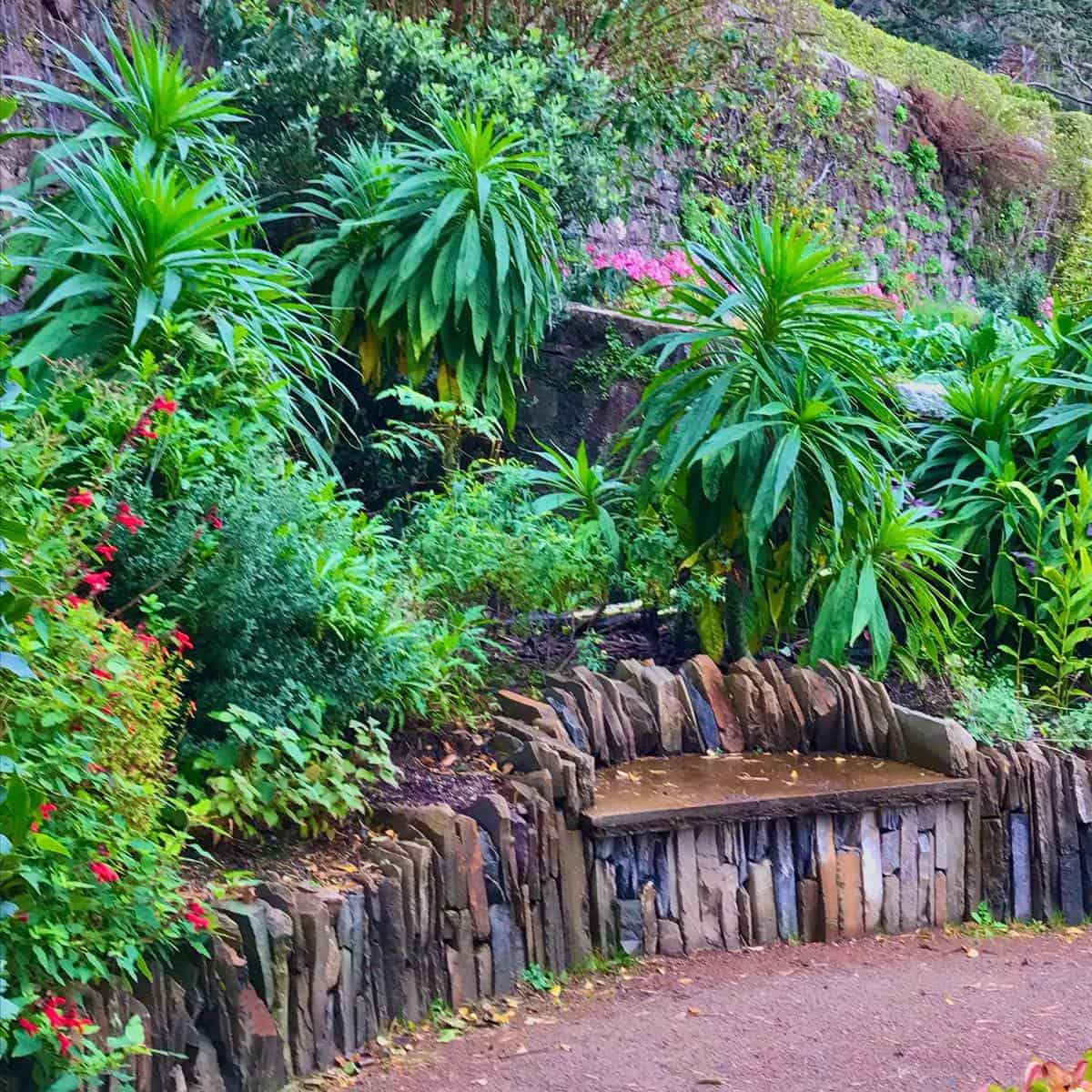 stone garden bench green plants