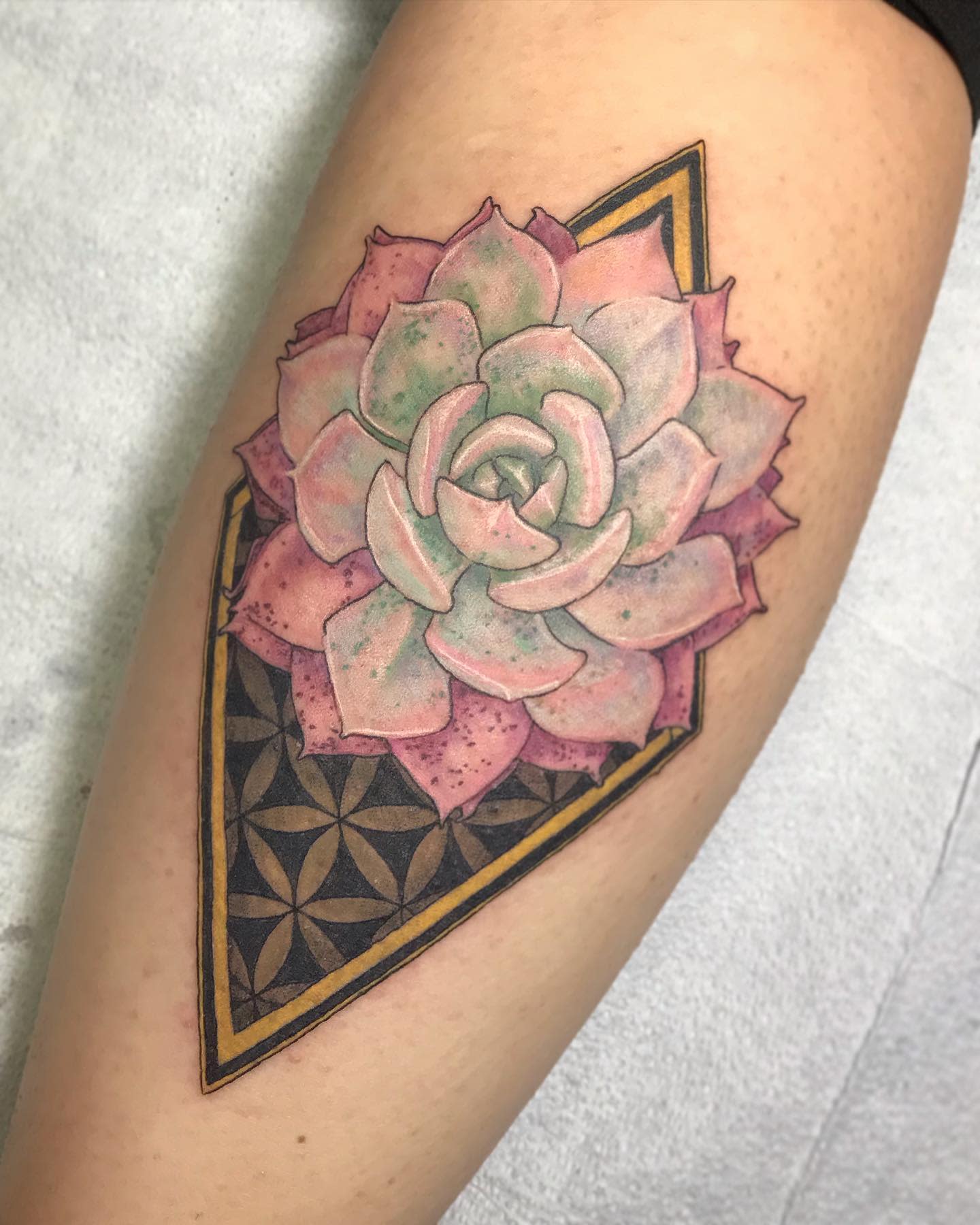 Tattoo of a pink and green succulent over a geometric pattern on a leg