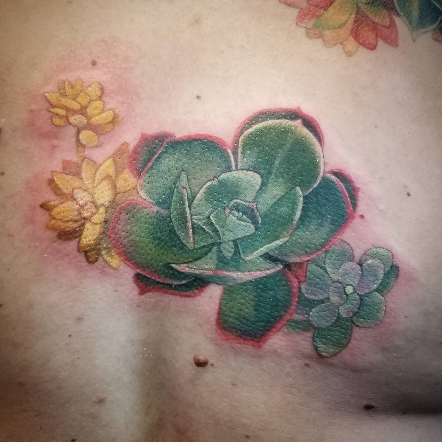 Tattoo of green and yellow succulents with pink shading on skin