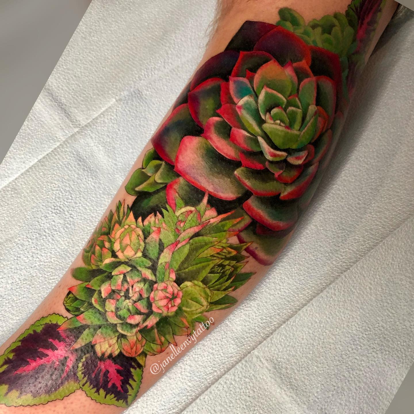 Colorful succulent tattoo on forearm with several varieties of green and red succulents