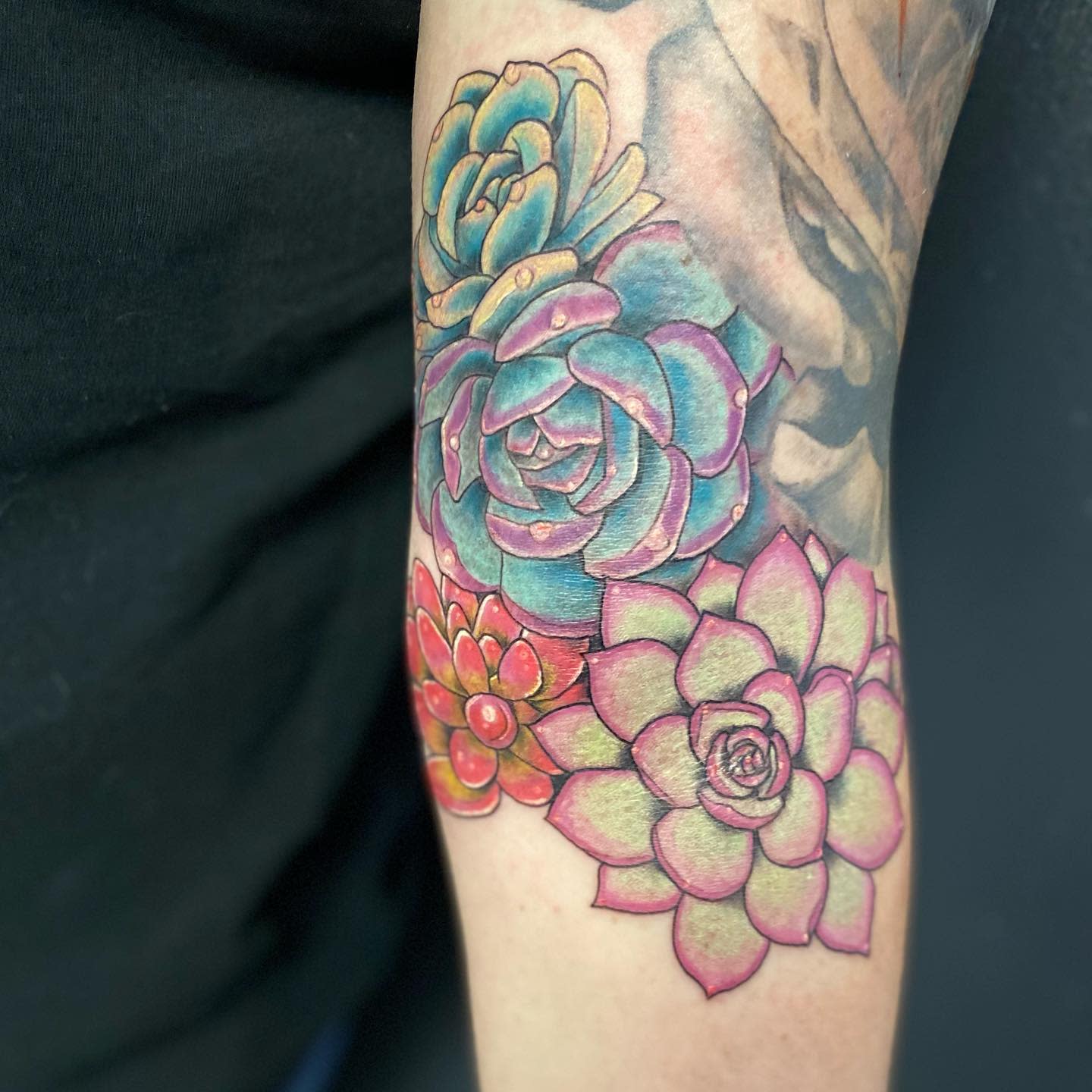 Colorful succulent tattoos on an arm featuring a blue, pink, and green design