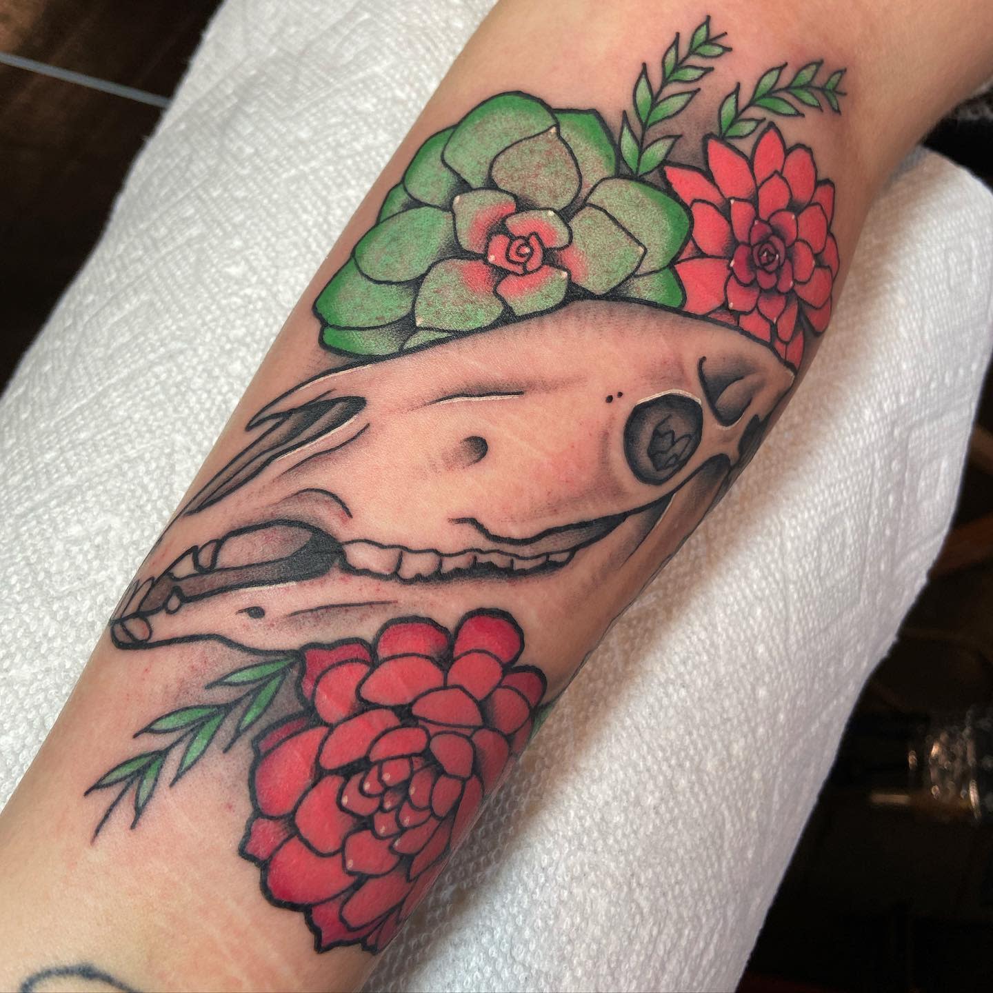 Arm tattoo featuring a horse skull surrounded by green and red succulents with intricate shading