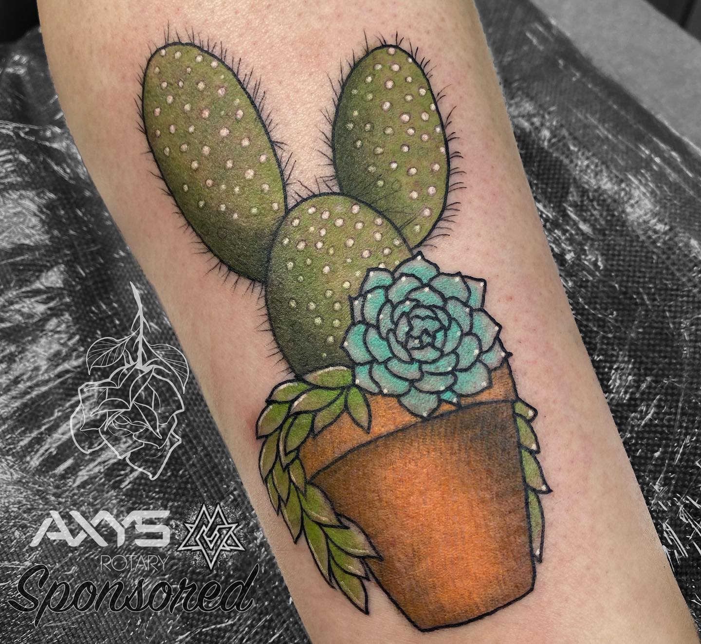 Tattoo of a cactus and succulent in a terracotta pot on an arm