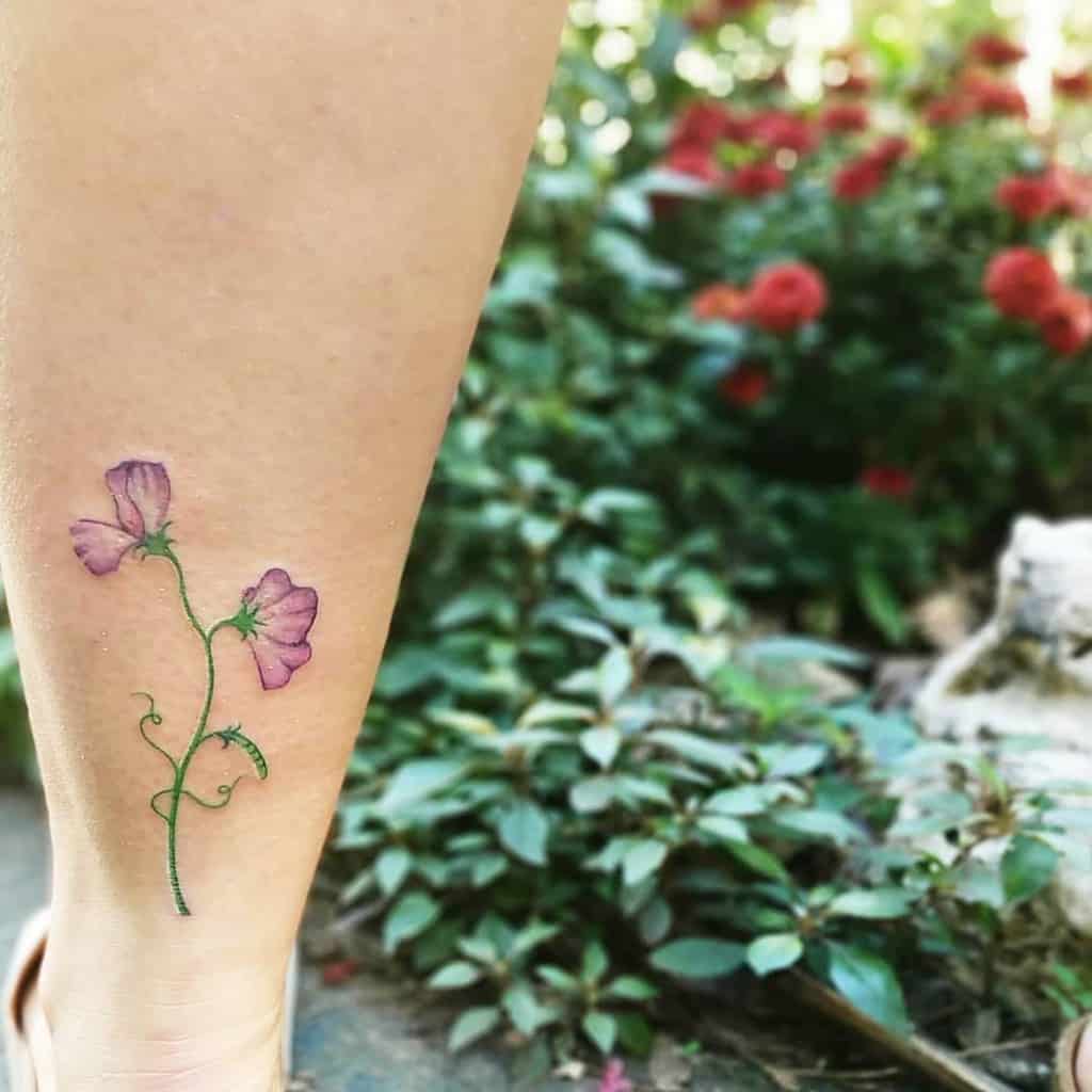 A minimal sweet pea tattoo featuring two purple flowers with winding stems, located on the lower leg