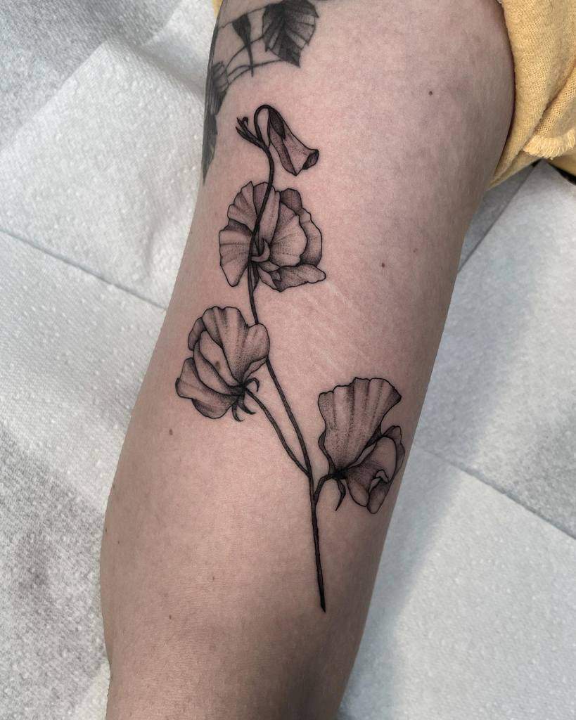 Black and grey sweet pea flower tattoo on the upper arm with delicate shading and soft lines