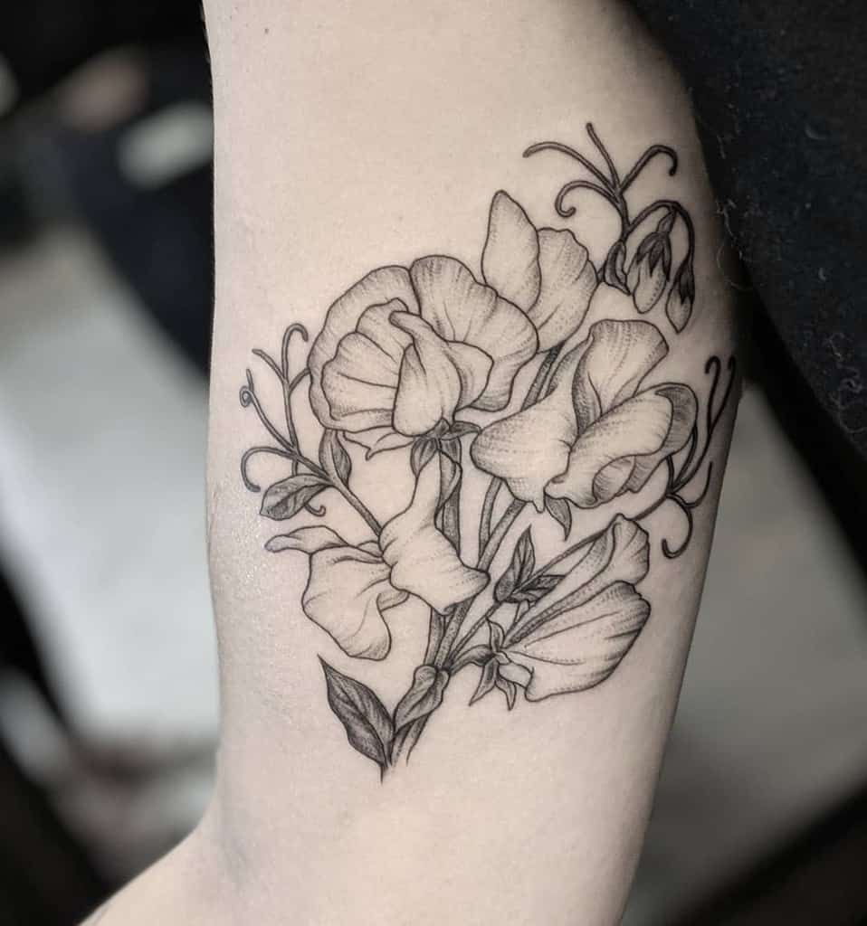 Black and grey sweet pea flower tattoo on the upper arm, with intricate shading for a bold look