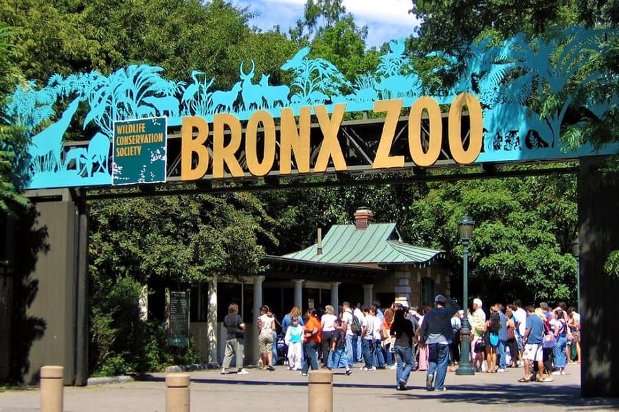 The Bronx Zoo