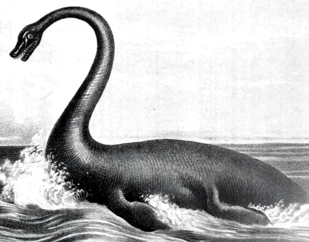 The Hawkesbury River Monster