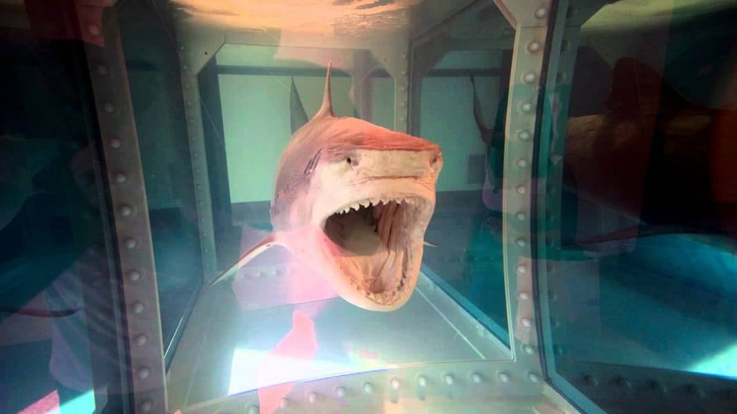 The Physical Impossibility of Death in the Mind of Someone Living (Damien Hirst)