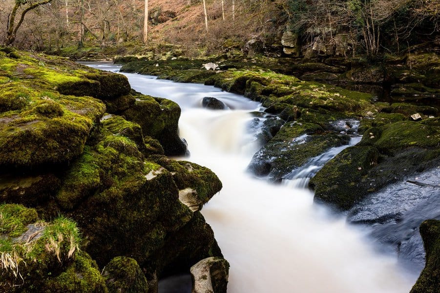 The Strid at Bolton Abbey