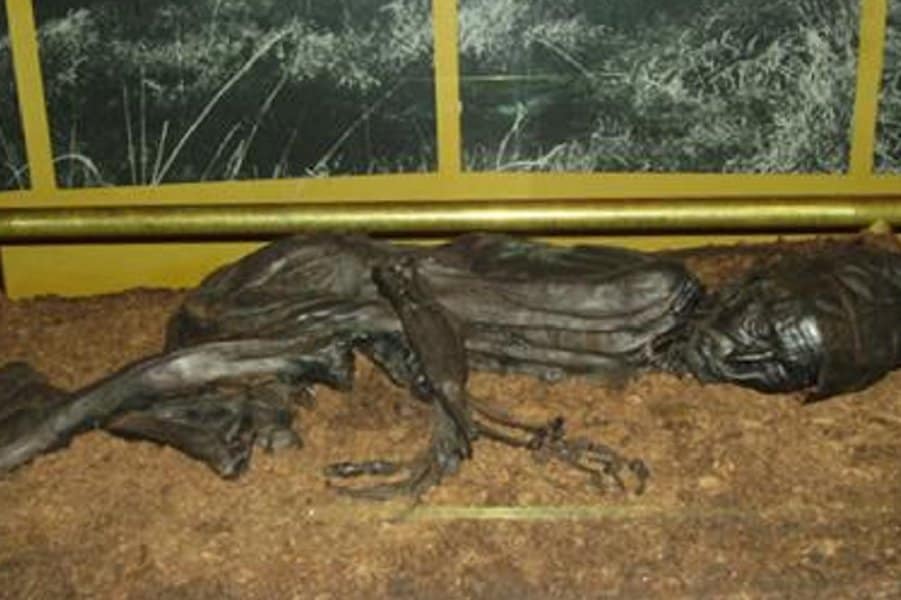The Tollund Man