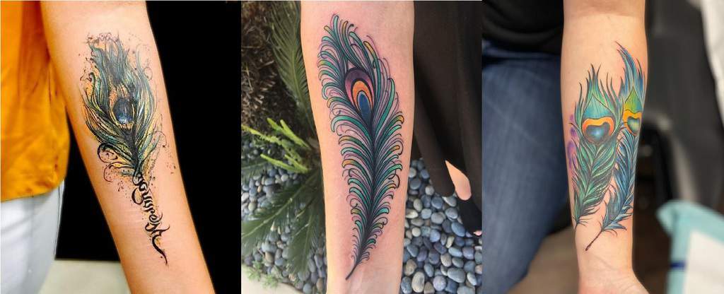 Top 109 Best Peacock Feather Tattoo Ideas