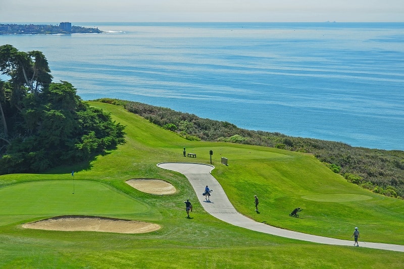 Torrey-Pines-California