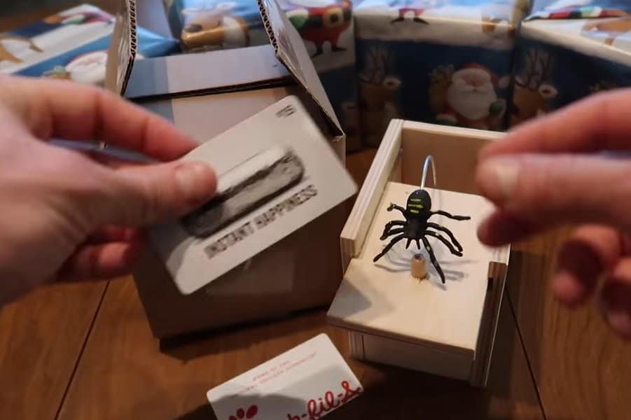 Toy Spider Birthday Gift