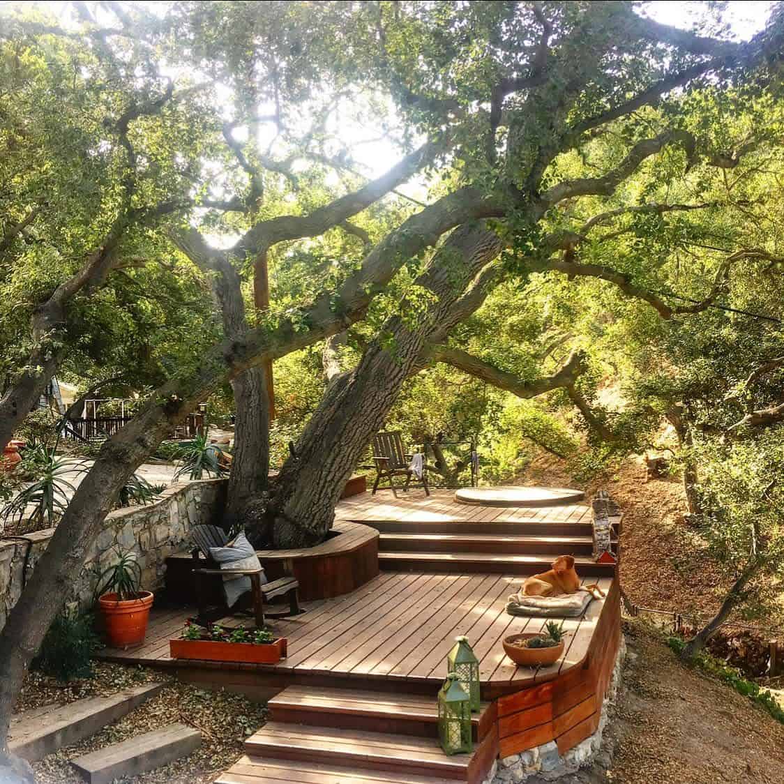 wood patio with tree bench