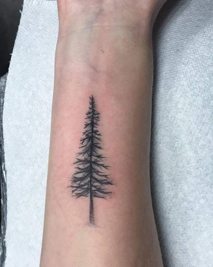 A simple silhouette tattoo of a pine tree graces an inner forearm