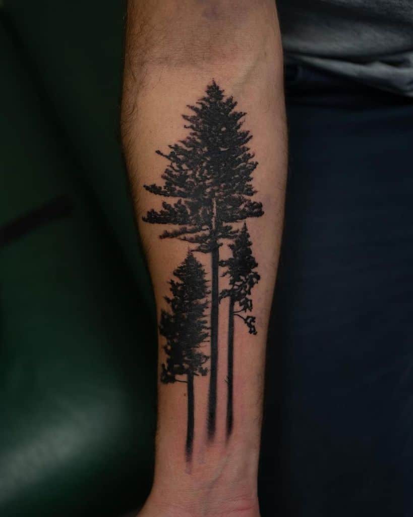 Forearm tattoo of three tall, detailed pine trees in black ink, creating a striking tree silhouette