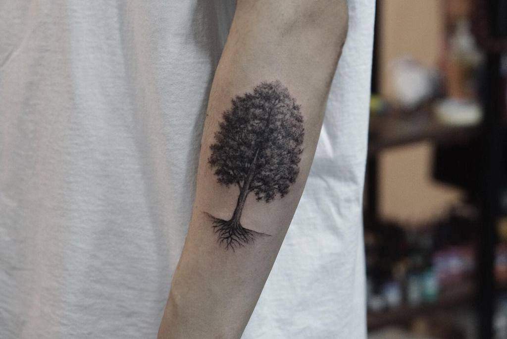Forearm tattoo of a tree with detailed roots, its silhouette elegantly inked
