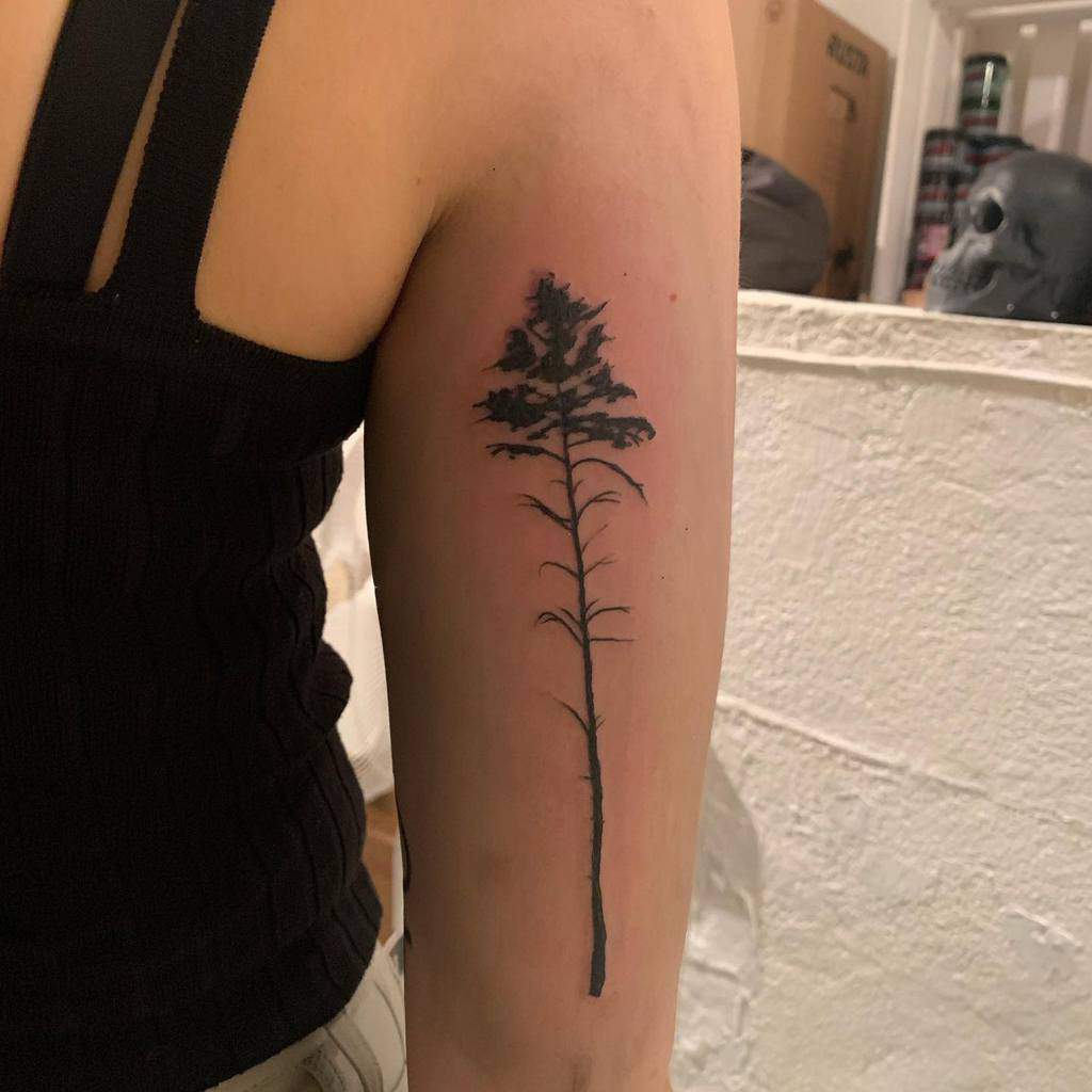A person with a tall pine tree tattoo on their upper arm