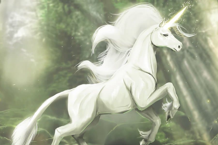 Unicorn
