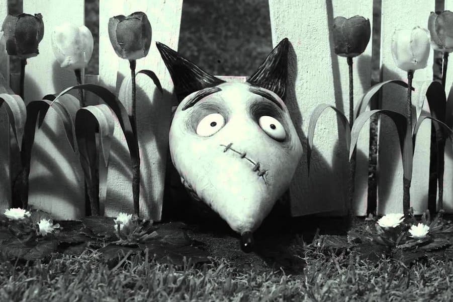 Victor Frankenstein (Frankenweenie)
