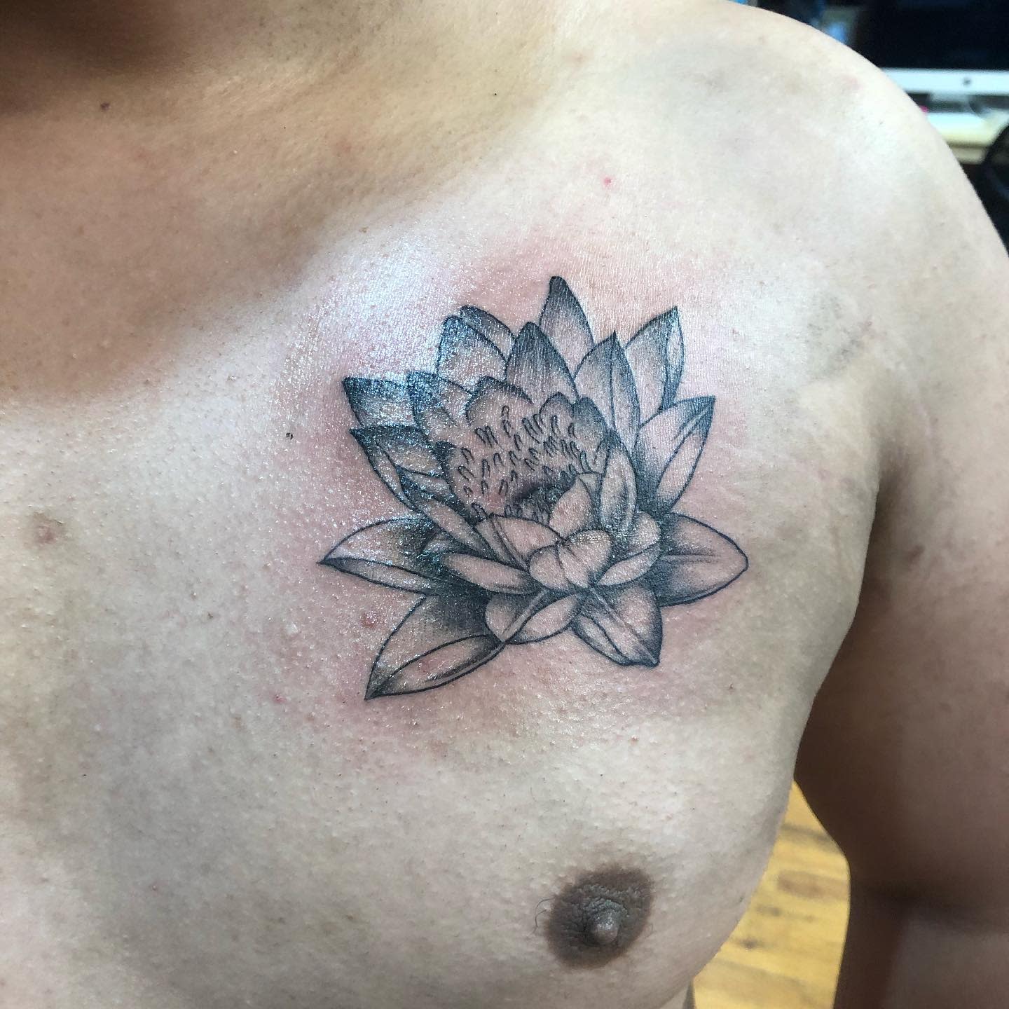 A detailed black and grey water lily tattoo located on the upper chest, featuring realistic shading and intricate petal work