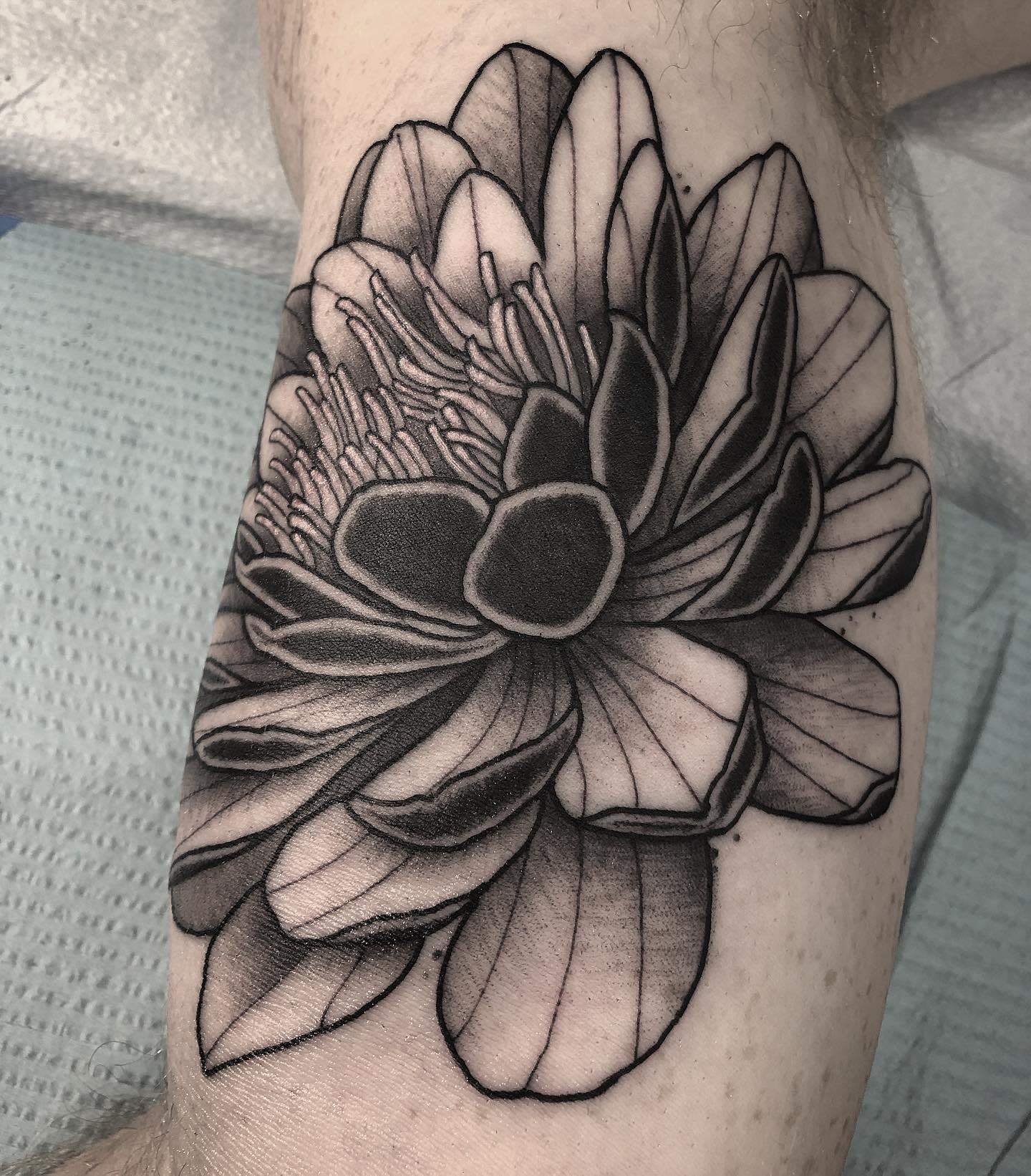 A bold black and grey water lily tattoo on the leg, featuring thick outlines and detailed shading