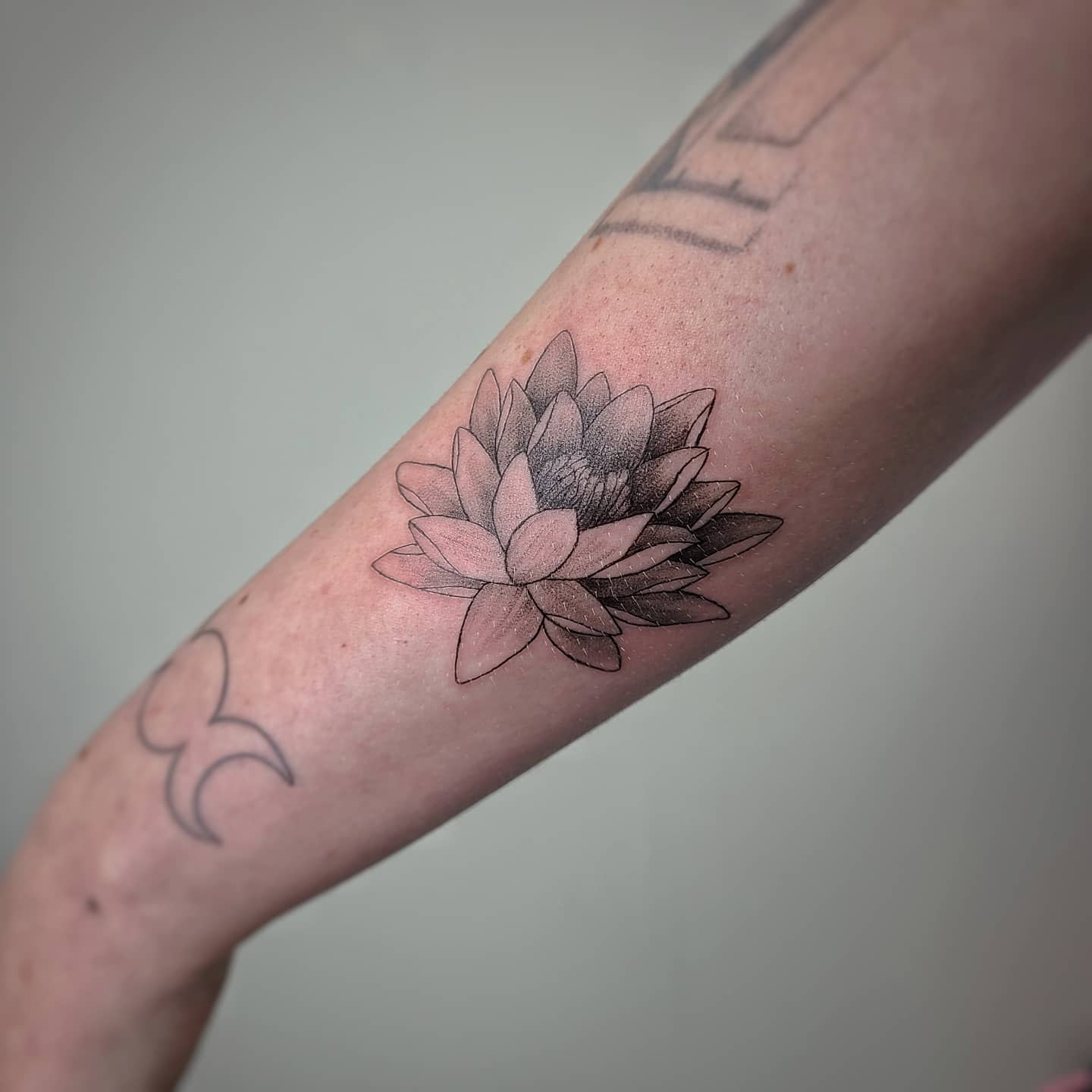 A simple black and grey water lily tattoo on the forearm, featuring fine line work and subtle shading, creating a delicate and understated design