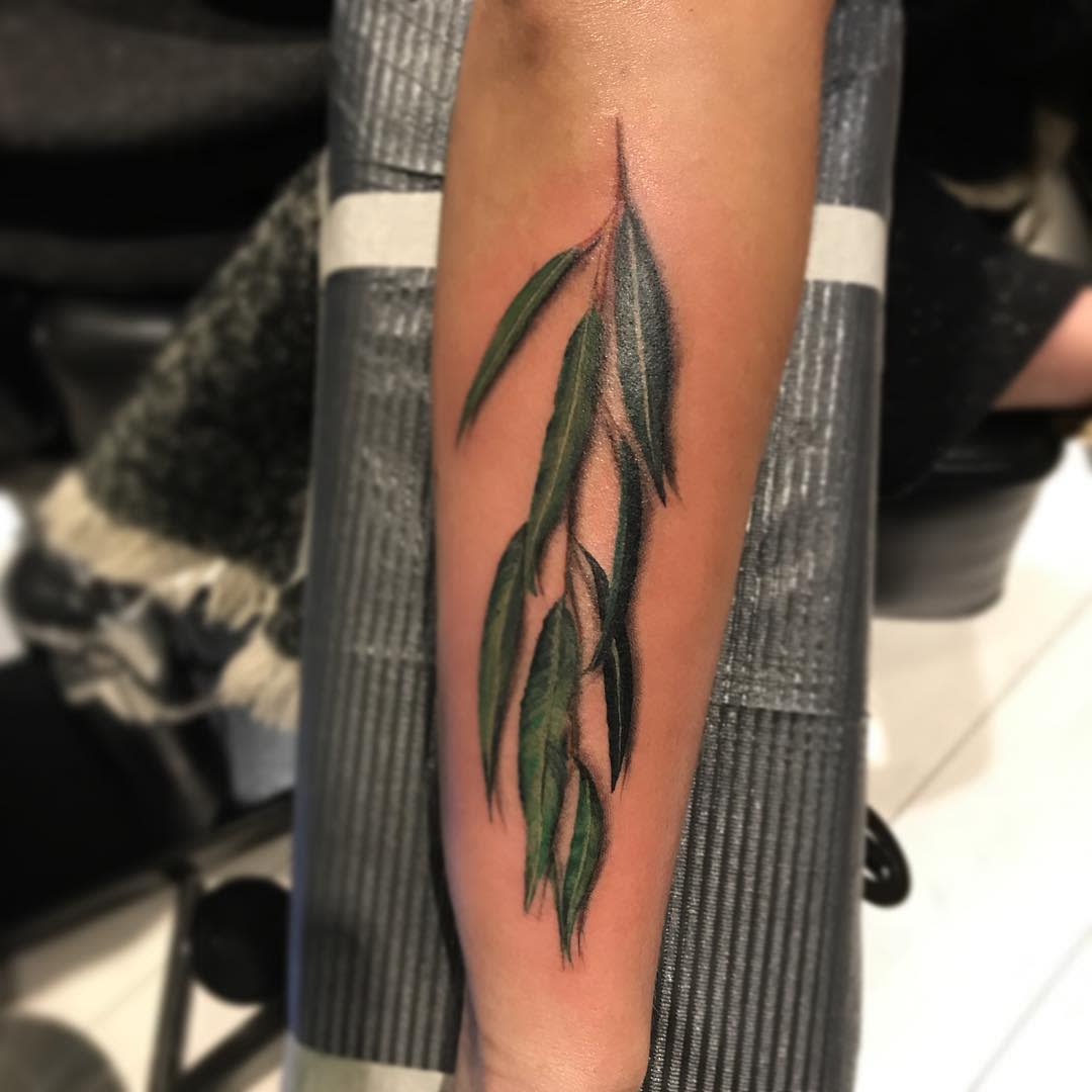 Forearm tattoo of green willow tree leaves on a resting arm