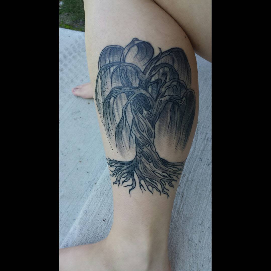 Tattoo of a willow tree with roots on the back of a leg