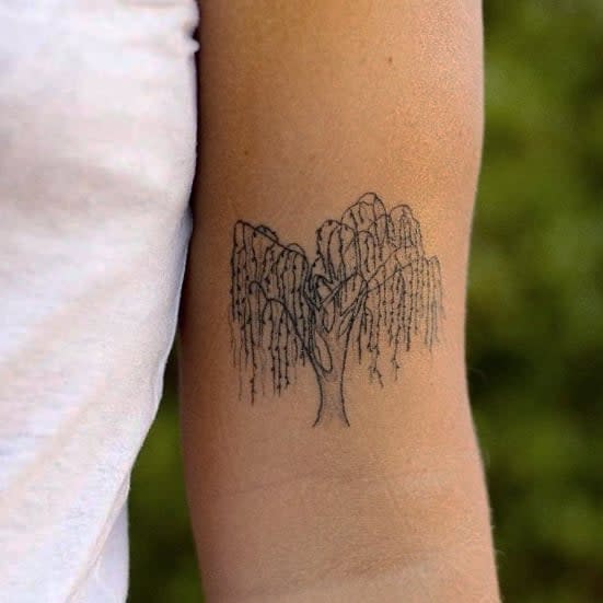 Tattoo of a weeping willow tree on an upper arm