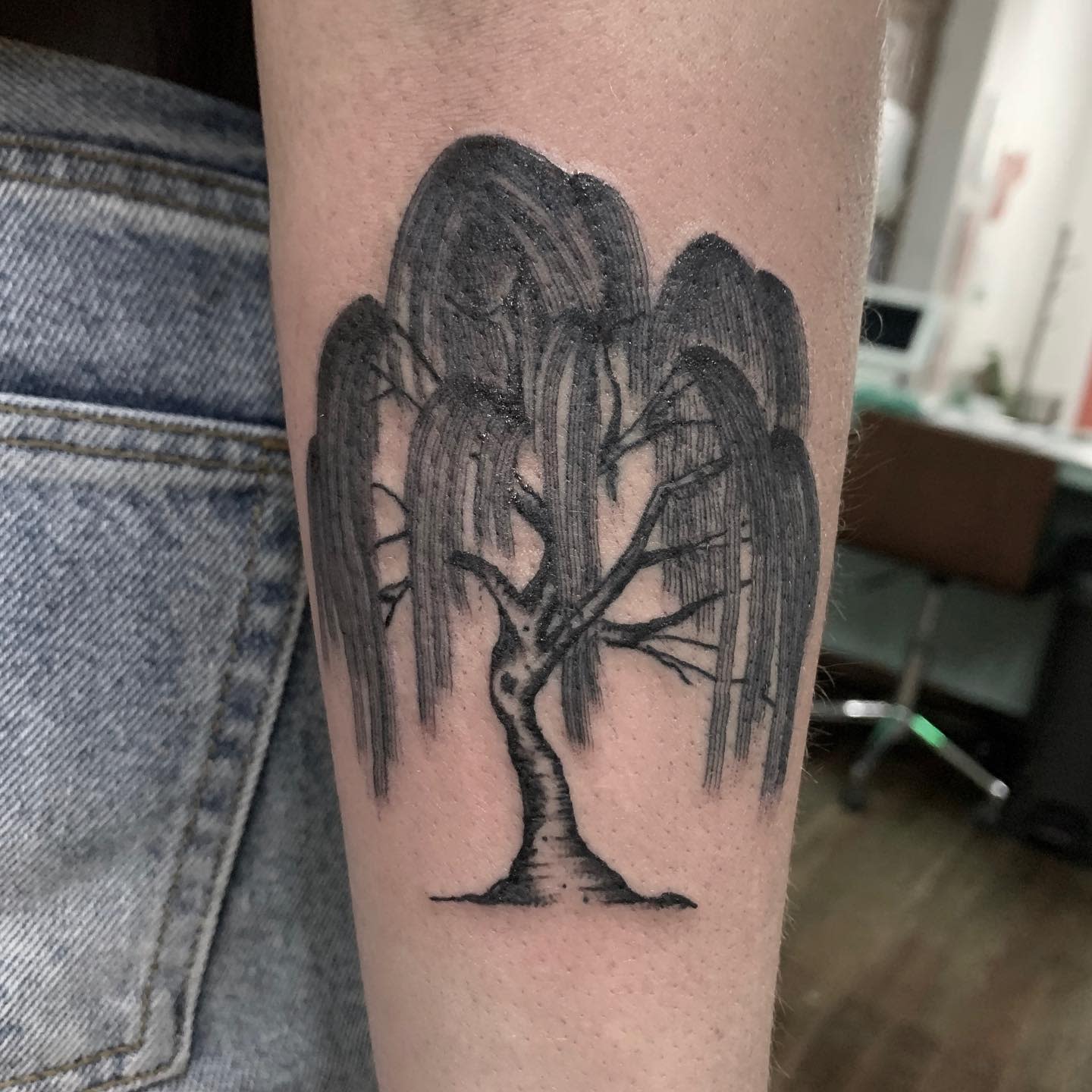 Close-up of a willow tree tattoo on a forearm