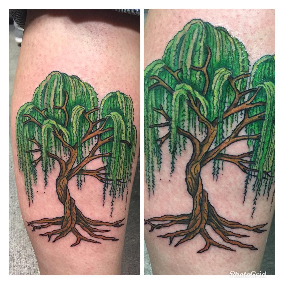 Tattoo of a weeping willow tree on skin with extended roots and branches