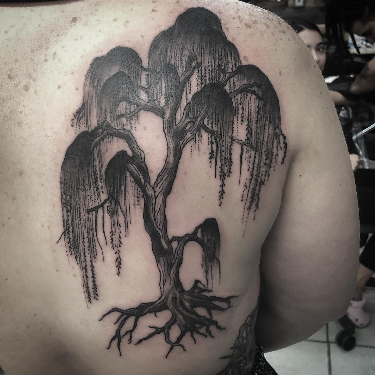 A detailed tattoo of a weeping willow tree on a person's back