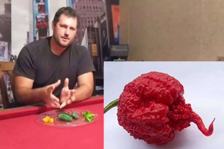 What Is the Hottest Pepper in the World