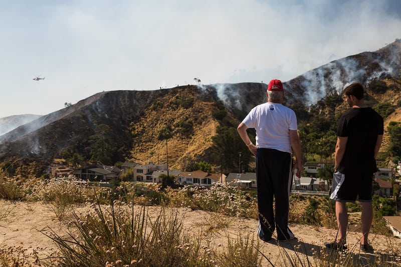 Wildlife-Watching-Best-Outdoor-Hobby-For-Men