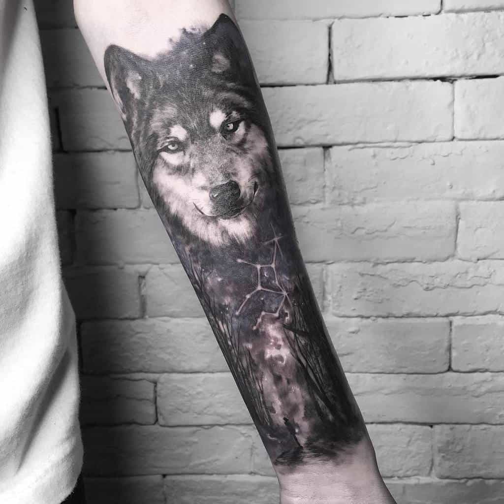 Forearm tattoo of a wolf and forest with a constellation design