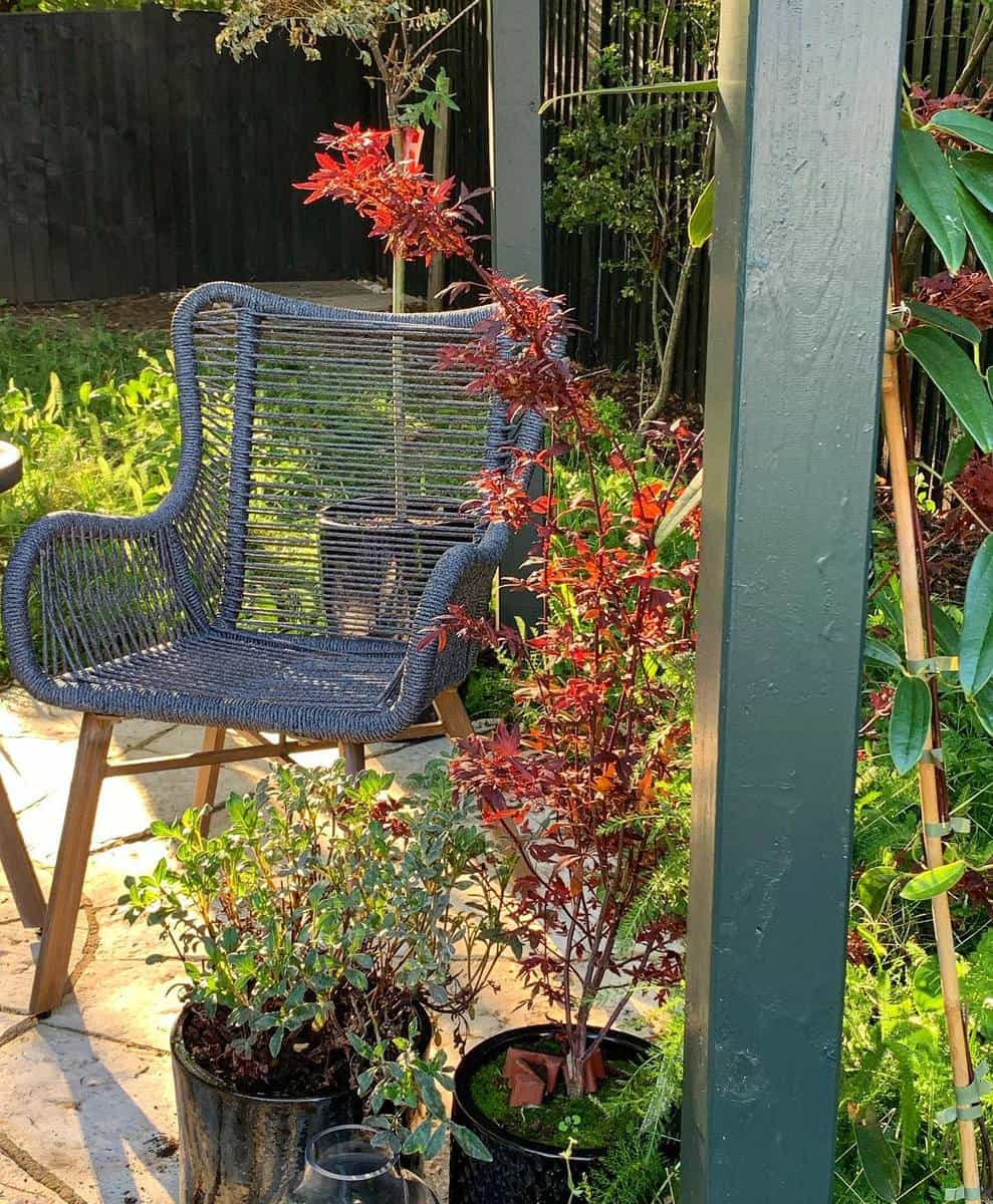 small wicker chair backyard pot plants