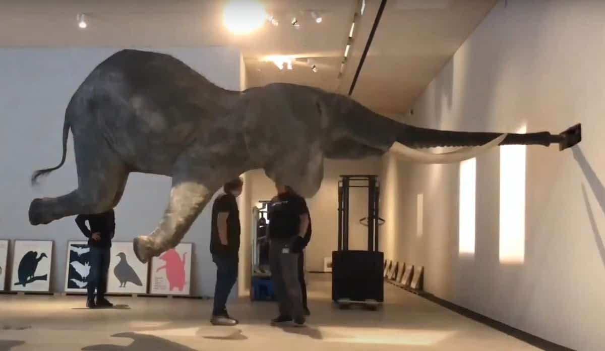 Wursa by Daniel Firman