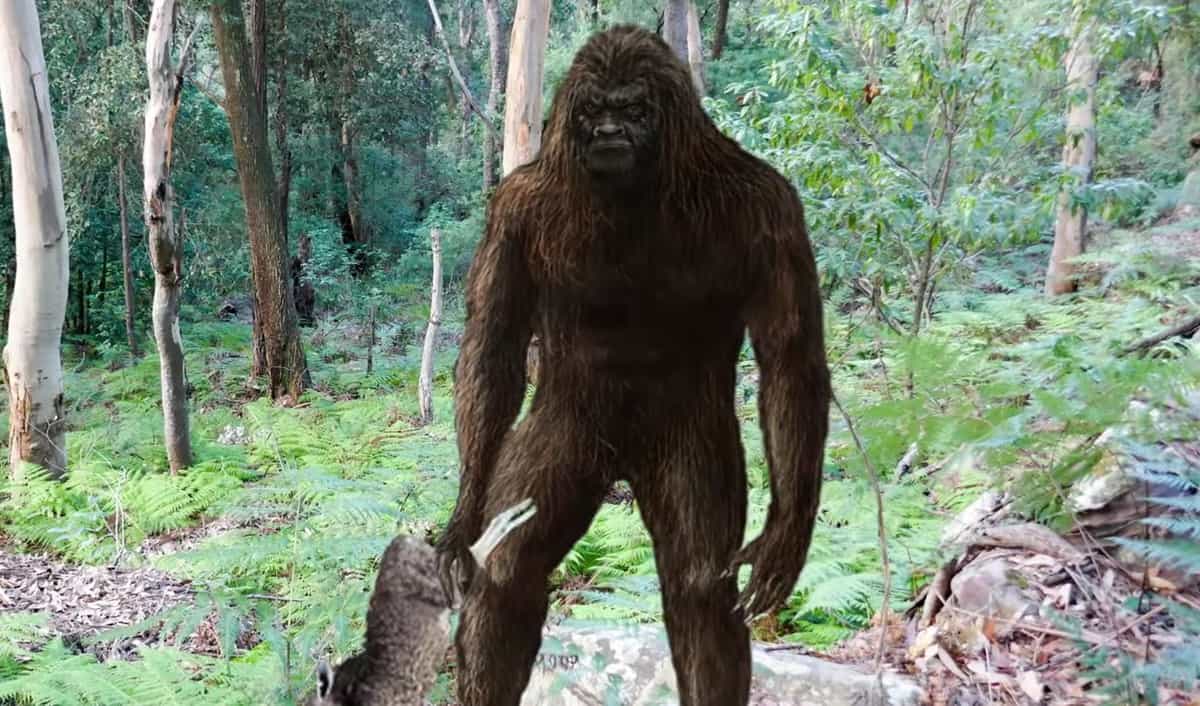 Yowie Australian Mythical Creature