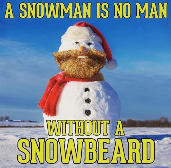 A Snowman Is No Man Without A Beard Memes