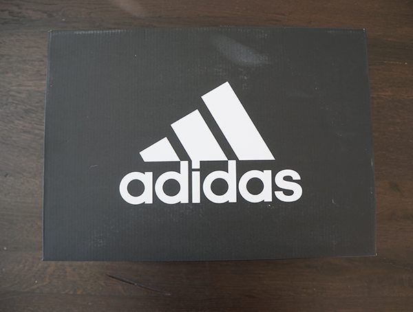 Adidas Terrex Swift R2 Mid Gtx Shoe Box