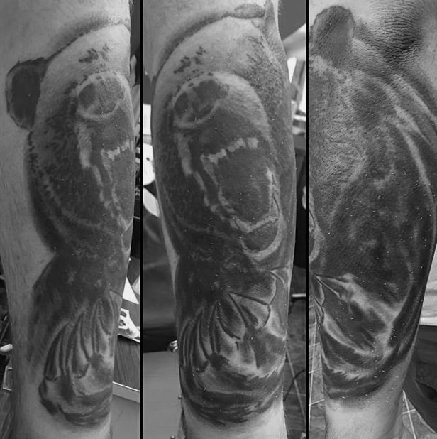 Agressive Bear Claw Shaded Forearm Tattoos For Men
