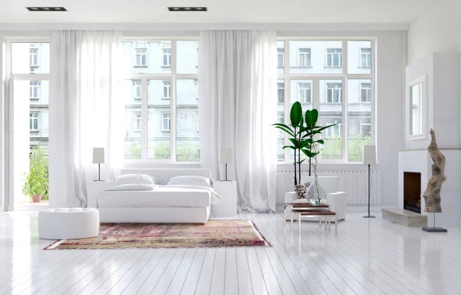 White minimalist bedroom with large windows, green plant, stylish rug, and modern decor