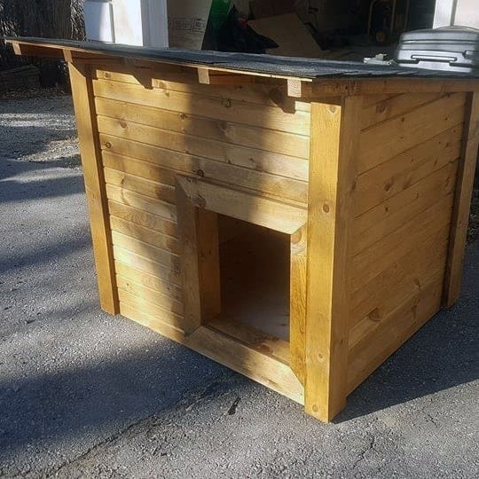Sunlit wooden doghouse with a slanted roof