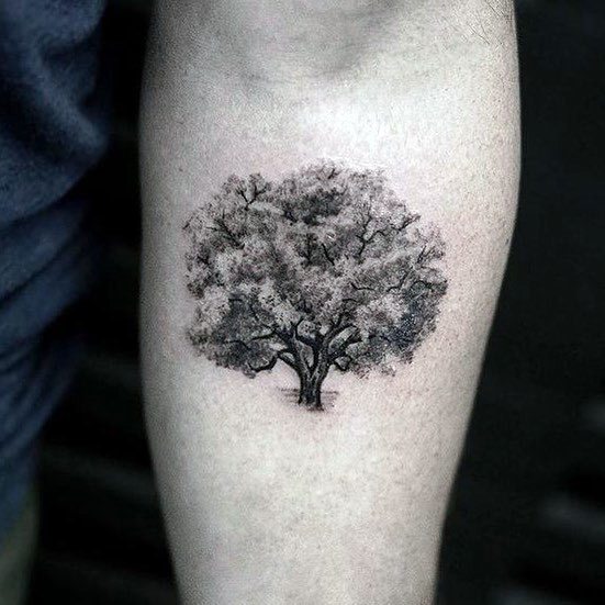 Realistic black and grey tattoo of a solitary tree with dense, detailed foliage, symbolizing strength, growth, and resilience.