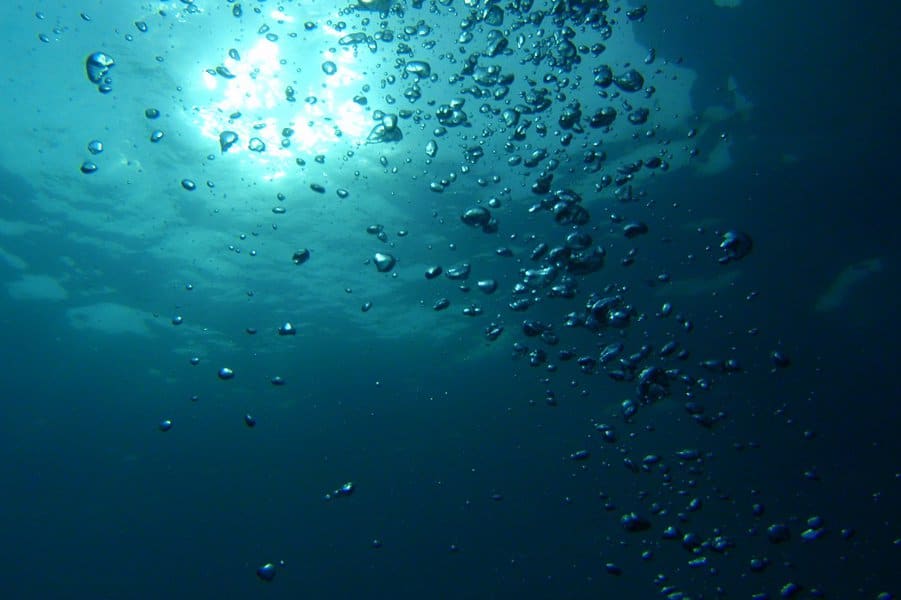 amazing-facts-about-the-bottom-of-the-ocean-image-4