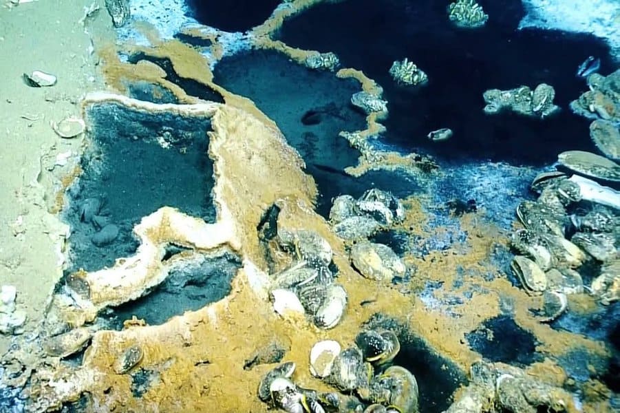 amazing-facts-about-the-bottom-of-the-ocean-image-5