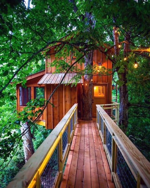 A cozy treehouse surrounded by lush green leaves, connected by a wooden walkway with warm lights